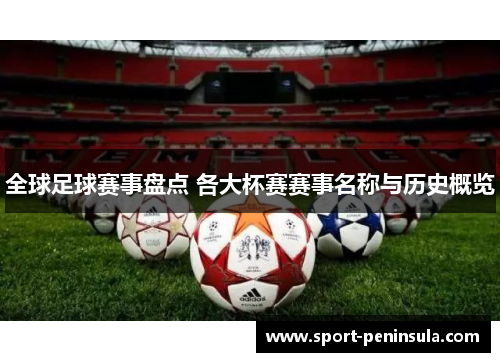 全球足球赛事盘点 各大杯赛赛事名称与历史概览